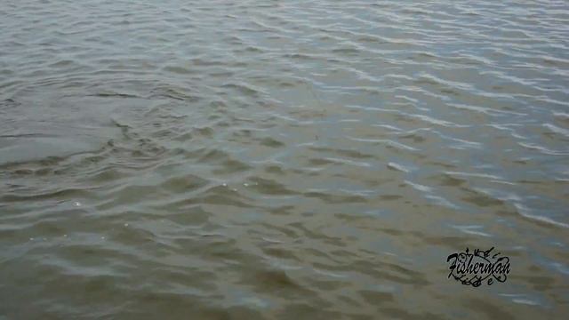 КарпФишинг России (Carp Fishing). Высокополье: открытие сезона 2014 (Липецкая обл.) смотреть онлайн