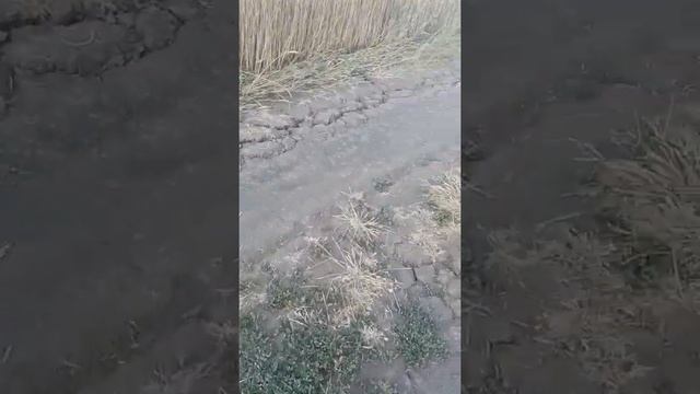 езда на скутере смотреть онлайн
