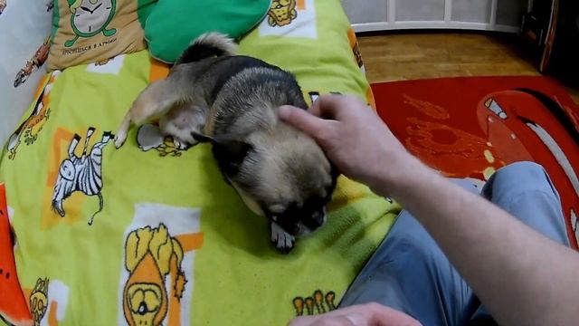 DIY Мастерская