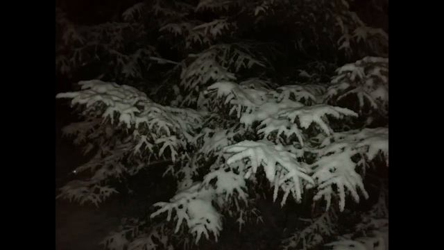 Сказка про кое-кого и кое-что.