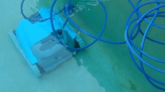 Чистка бассейна роботом Dolphin Z Fun смотреть онлайн