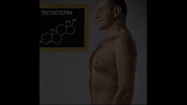 Баллада о тестостероне смотреть онлайн