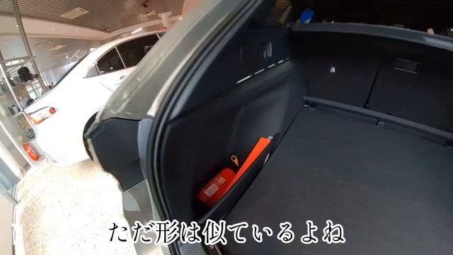 【ヨーロッパのトヨタに行ってみた】アルファードの納車実績は？ / ヨーロッパひとり旅Vlog No.11?? / RAV4とハイランダーの比較も一緒に смотреть онлайн