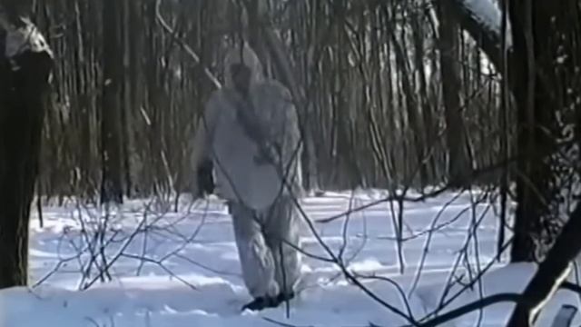 не забывай его... и стримы на канале@SiberianSolntsepek смотреть онлайн