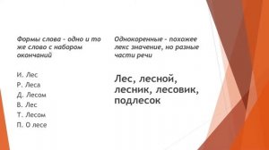 Формы слова и однокоренные слова. В чем разница?
