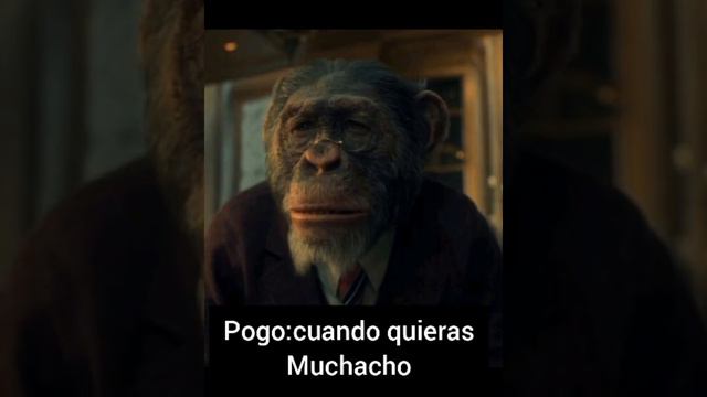 cap 3|imagina the umbrella academy|la hija de vanya|cinco y tu смотреть онлайн