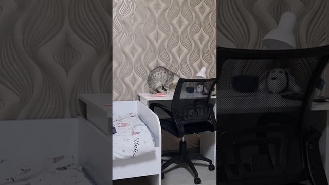 Вы точно этого не знали