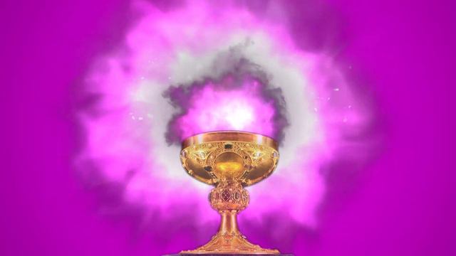 Pink Flame // Llama Rosada (3rd Day Tuesday)