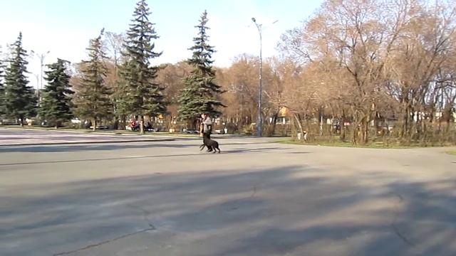как правильно нужно выставлять лабра. смотреть онлайн