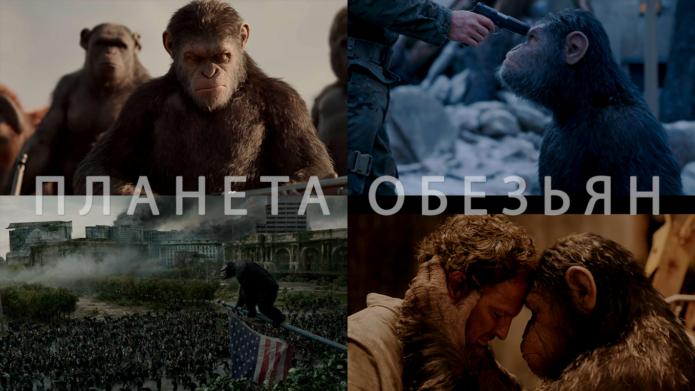 Потрясающие Кадры: ПЛАНЕТА ОБЕЗЬЯН ТРИЛОГИЯ смотреть онлайн