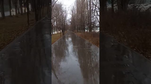 Поездка на велосипеде под дождём Саратов, 9 ноября 2023 смотреть онлайн