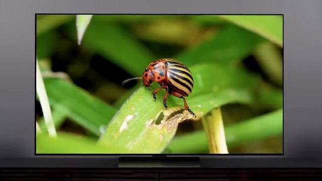 How to pick a TV picture mode | Standard, Vivid, Sports, Movie, ISF, Dolby смотреть онлайн