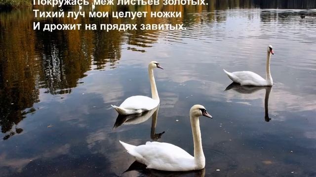 М.И. Цветаева "Принц и лебеди" смотреть онлайн