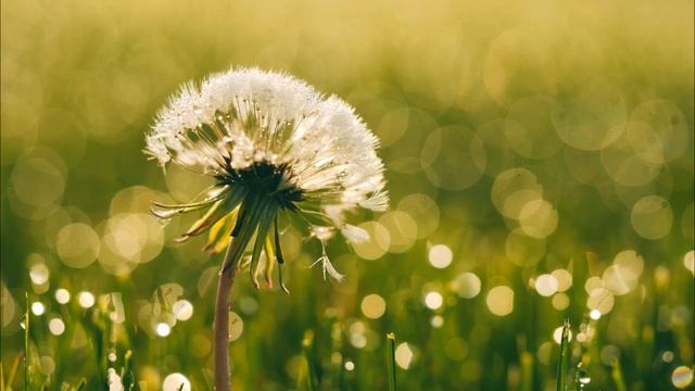 Строительные Магниты