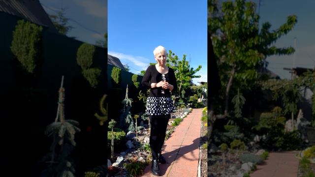 Лечение и восстановление хвойных растений. Olga Vasilisa. смотреть онлайн
