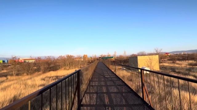Львы собрались у входа и ждут Олега Зубкова из суда! смотреть онлайн