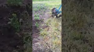 Роторный окучник ОР380  в работе