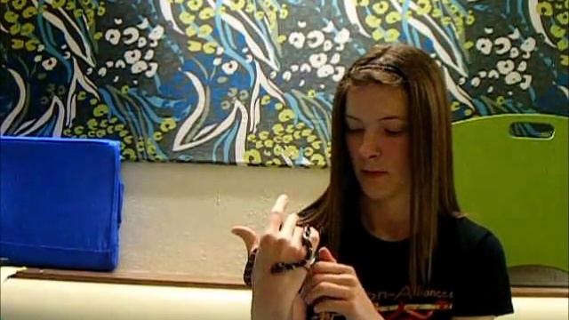 Mangrove Snake "Catnip" Boiga dendrophila melanota смотреть онлайн