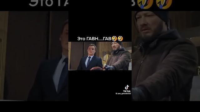 Смешной момент пёс смотреть онлайн