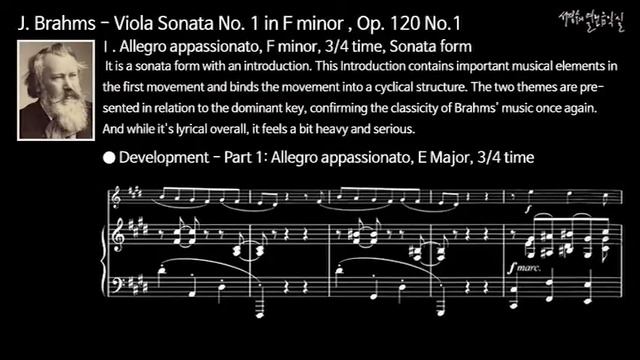 Brahms - Viola Sonata No. 1 in F minor Op. 120 No. 1 - Ⅰ. Allegro appassionato_Development смотреть онлайн