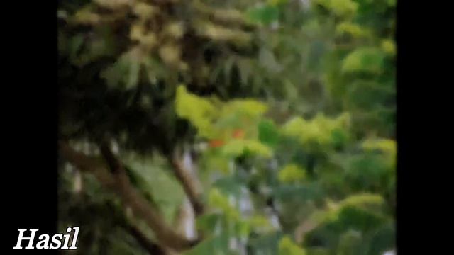 Review Fujifilm S2980 - Hasil Foto Video Fujifilm S2980 смотреть онлайн