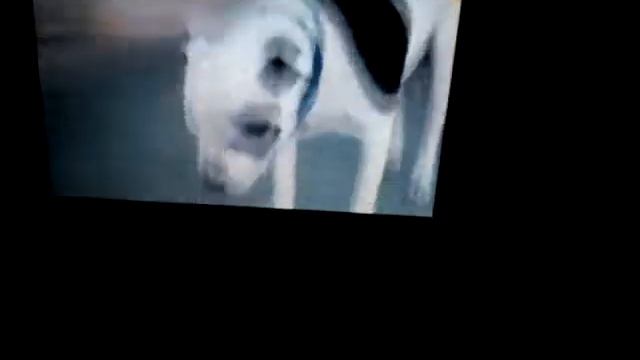 1 октября 2016 г. смотреть онлайн