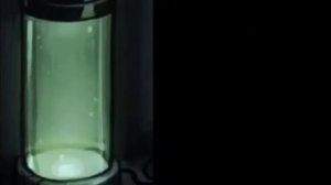 клип она плавает в формалине~