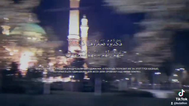 Чтение Корана, Мечеть Шали! смотреть онлайн