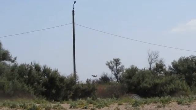 Дальний тихий Пляж в пгт. Новофедоровка (у Водозабора), Крым, Сакский район 24.06.2016 смотреть онлайн