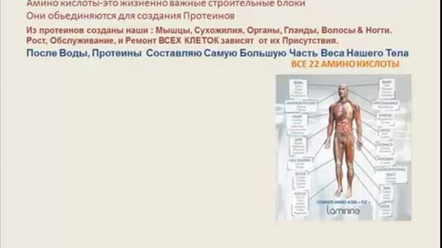 Омолаживающее Норвежское Чудо. смотреть онлайн