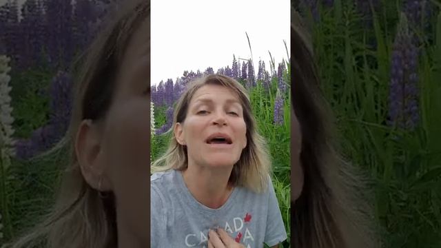 НЕ ВОСПИТЫВАЙ РЕБЕНКА - ВОСПИТЫВАЙ СЕБЯ! Как стать лучшим родителем? Света Гончарова смотреть онлайн