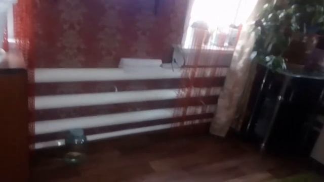 VLOG:Делаем магниты из гипса смотреть онлайн
