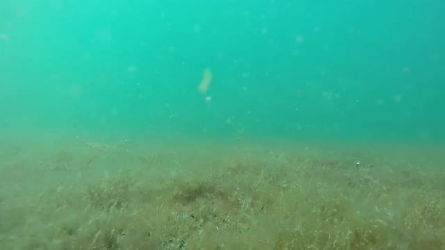 Под водой Каспия смотреть онлайн