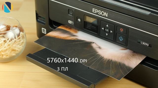 Выбираем МФУ с СНПЧ для дома: Epson XP-342 или Epson L3070? смотреть онлайн