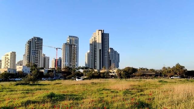 Где найти анемоны? Дикий пляж - секретное место! смотреть онлайн