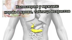 Холестерин у мужчин: норма в крови, таблица возрастов