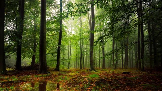 Кельтская и ирландская музыка отборная подборка - Celtic and Irish music is a great selection смотреть онлайн