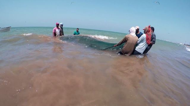 Vacation in Oman. Отдых в Омане смотреть онлайн