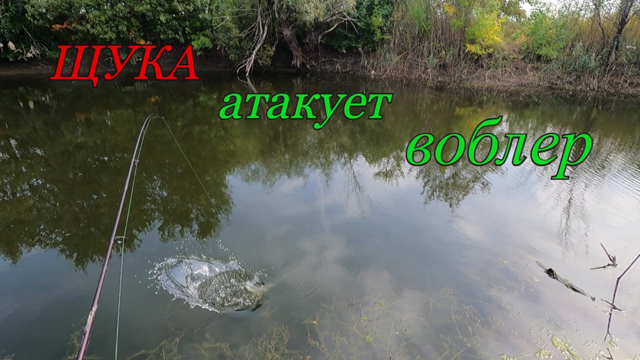 Ловлю ЩУКУ на воблер.Хищник атакует приманки на моих глазах. смотреть онлайн