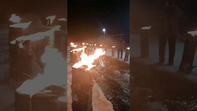 Веселые моржи смотреть онлайн