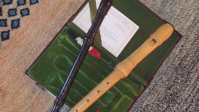 W. A. Mozart, Alleluja (KV 165) by two recorders смотреть онлайн