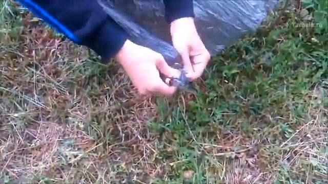 Как добыть воду в лесу Способ 3 смотреть видео смотреть онлайн