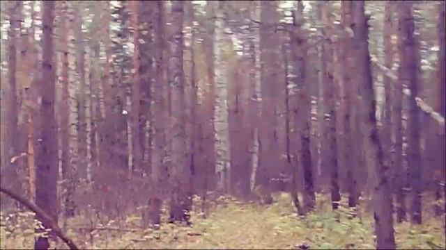 Духовность как иррациональное обоснование полового инстинкта и способ ловли рыбки в этой мутной вод смотреть онлайн