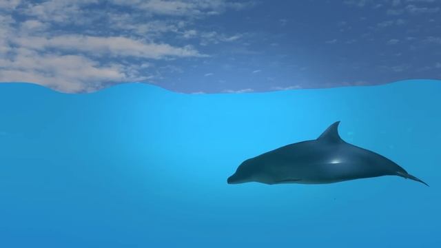 Вот Как Осьминоги Защищаются От Дельфинов смотреть онлайн