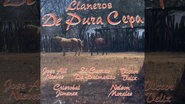 Los Cuatro Vientos del Llano смотреть онлайн