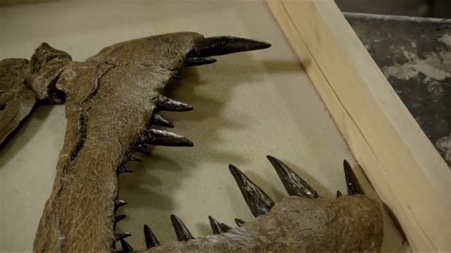 The Prehistoric Monster Xiphactinus | River Monsters смотреть онлайн