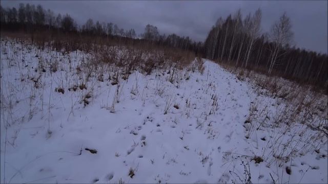 Заяц с грязными пятками!Охота с гончей # 6 Как же в него попасть? 11 сколов ))))) смотреть онлайн