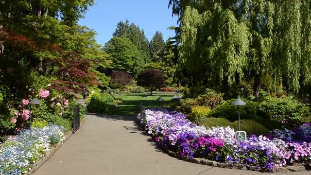 The Butchart Gardens in Bloom смотреть онлайн