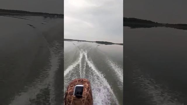 шармакс 15 смотреть онлайн