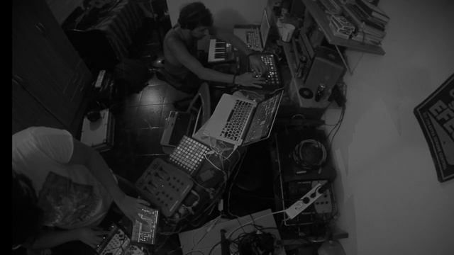 Canis Lupus Vulpes Vulpes